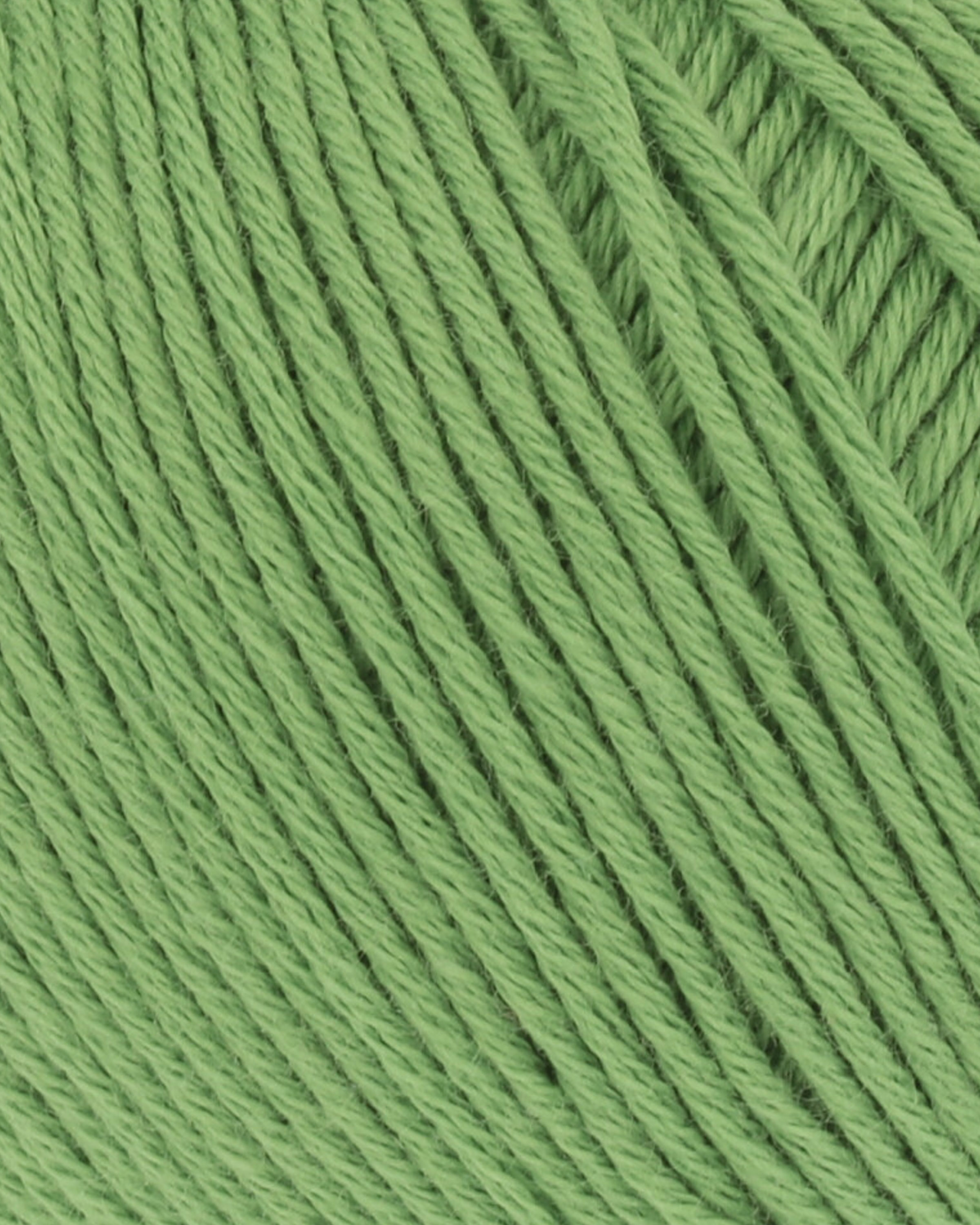 Baby-Cotton